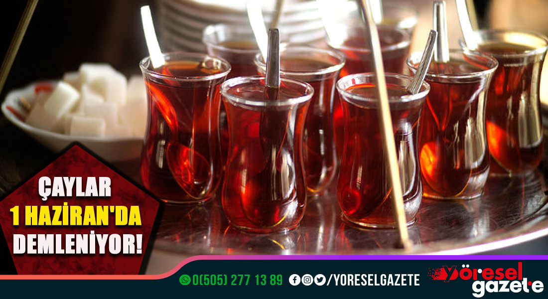 ÇAYLAR 1 HAZİRAN’DA DEMLENİYOR!