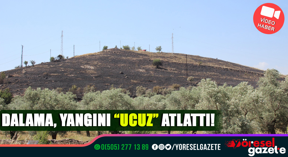 DALAMA, YANGINI “UCUZ” ATLATTI!