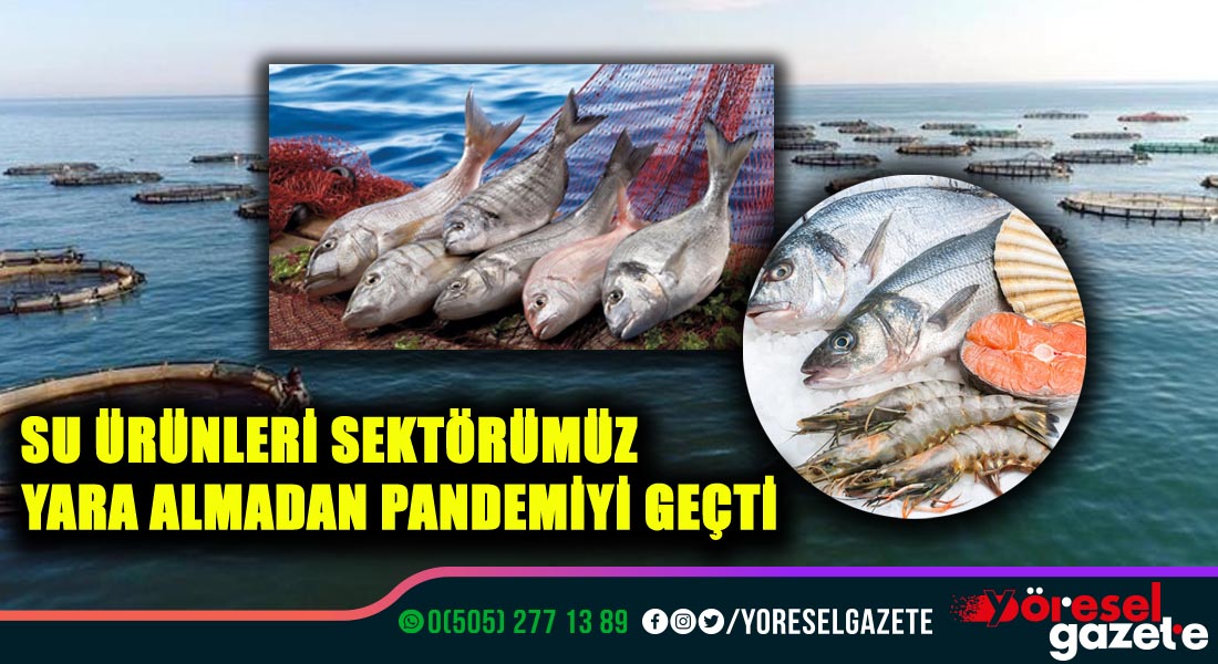 SU ÜRÜNLERİ SEKTÖRÜMÜZ YARA ALMADAN PANDEMİYİ GEÇTİ
