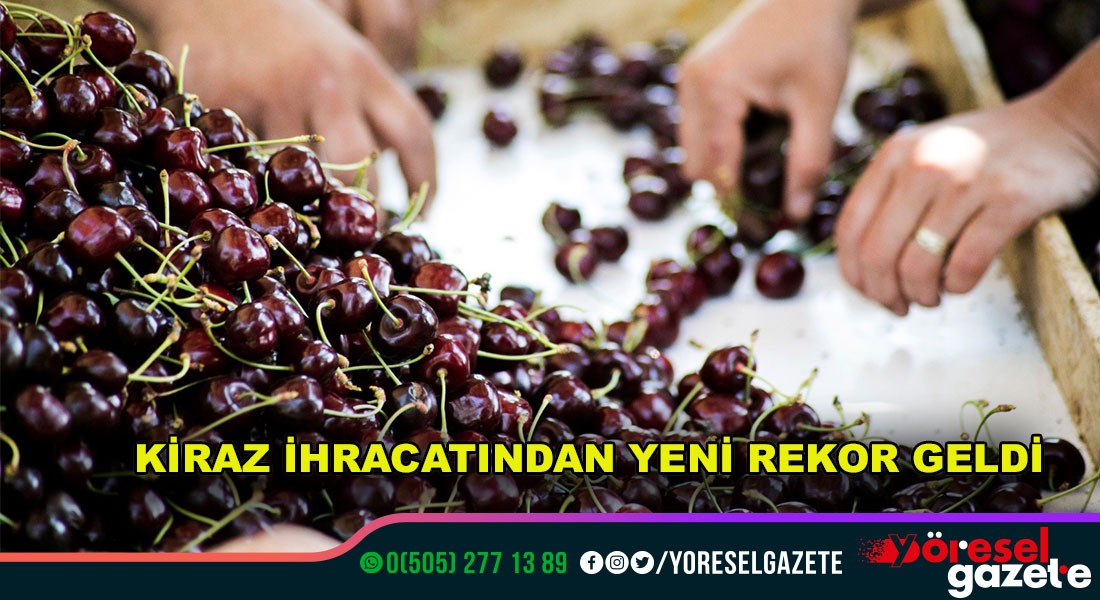 KİRAZ İHRACATINDAN YENİ REKOR GELDİ