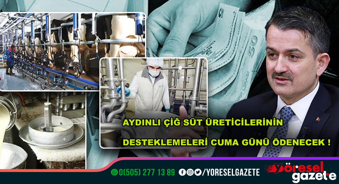 AYDINLI ÇİĞ SÜT ÜRETİCİLERİNİN DESTEKLEMELERİ HESAPLARINDA!