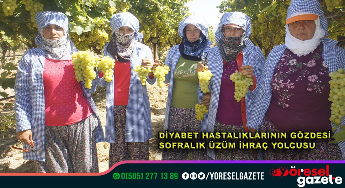 DİYABET HASTALARININ GÖZDESİ SOFRALIK ÜZÜM İHRACAT YOLCUSU