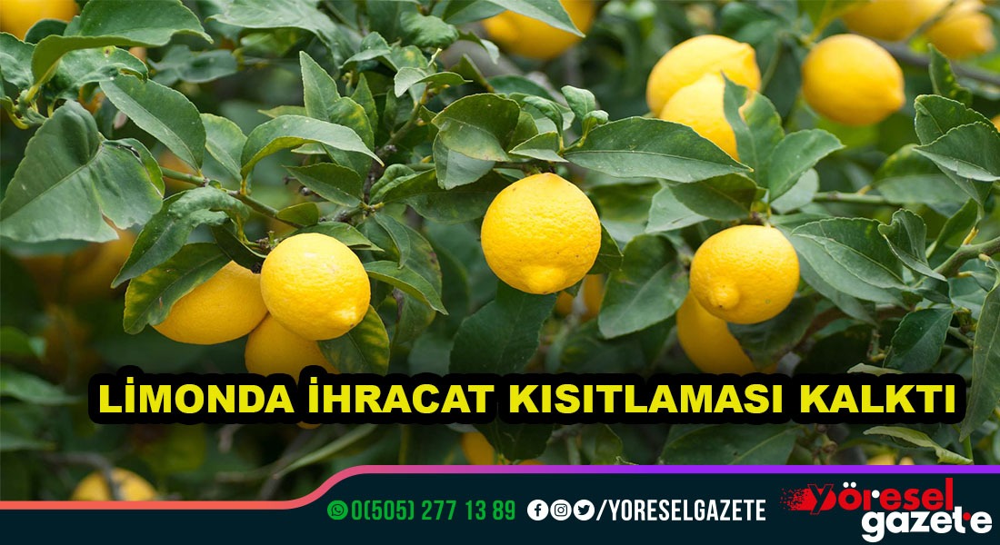 LİMONDAKİ İHRACAT KISITLAMASI KALDIRILDI