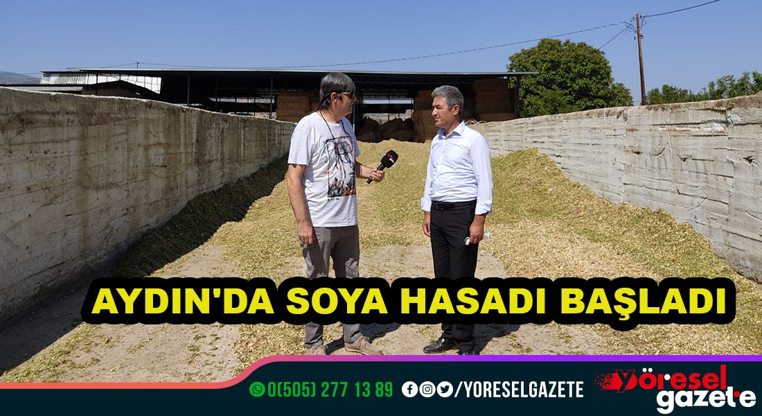AYDIN’DA SOYA HASADI BAŞLADI