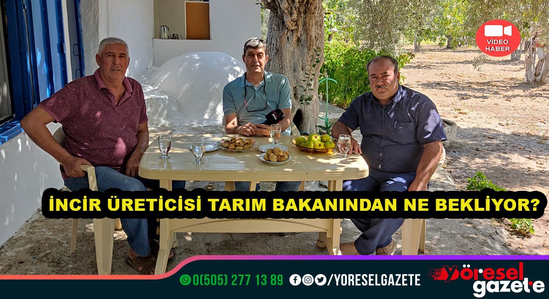 İNCİR ÜRETİCİSİ TARIM BAKANINDAN NE BEKLİYOR?