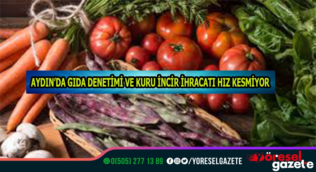 AYDIN’DA GIDA DENETİMİ VE KURU İNCİR İHRACATI HIZ KESMİYOR