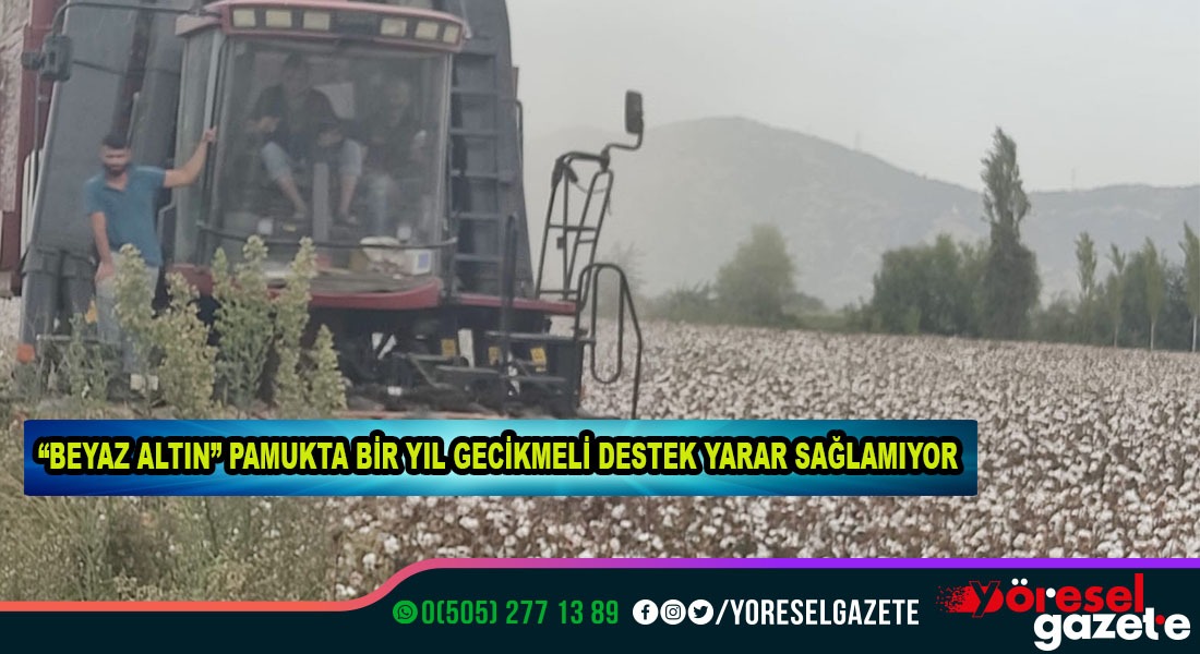“BEYAZ ALTIN” PAMUKTA BİR YIL GECİKMELİ DESTEK YARAR SAĞLAMIYOR!