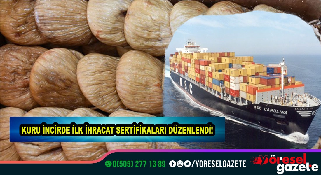 KURU İNCİRDE İLK İHRACAT SERTİFİKALARI DÜZENLENDİ!