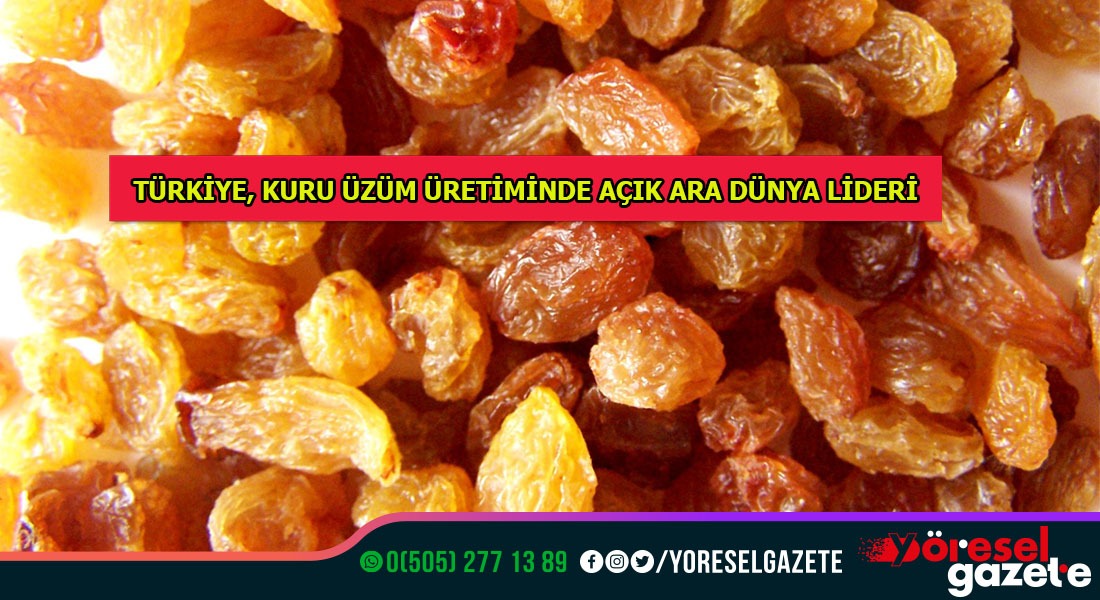 TÜRKİYE, KURU ÜZÜM ÜRETİMİNDE AÇIK ARA DÜNYA LİDERİ
