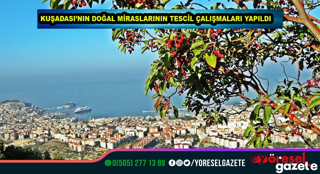 KUŞADASI DOĞAL MİRASLARININ, TESCİL ÇALIŞMALARI YAPILDI