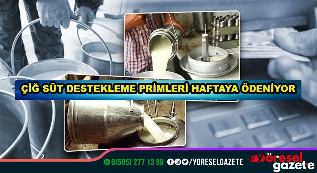 ÇİĞ SÜT DESTEKLEME PRİMLERİ HAFTAYA ÖDENİYOR