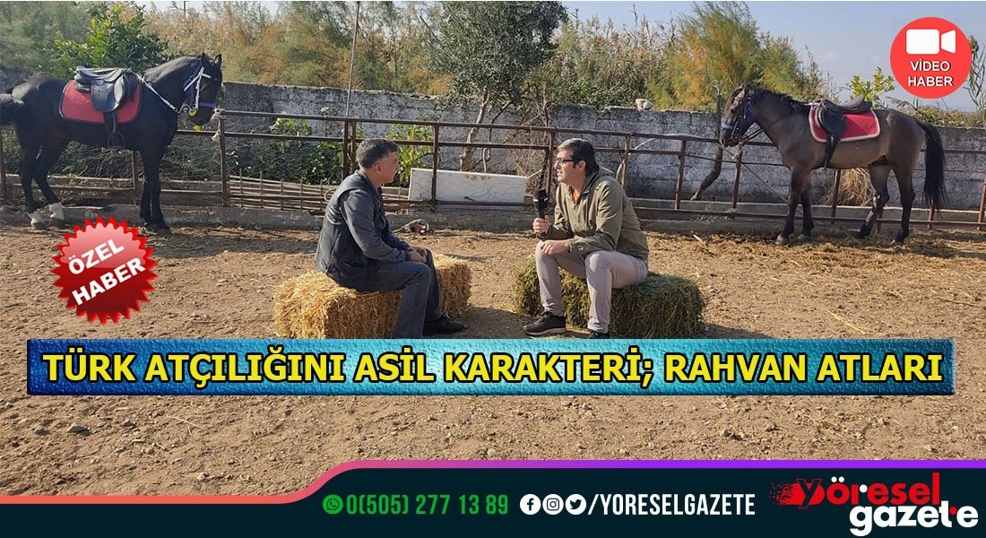 TÜRK ATÇILIĞININ ASİL KARAKTERİ RAHVAN ATLARI