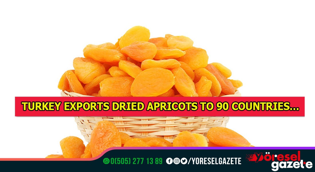 TURKEY EXPORTS DRIED APRICOTS TO 90 COUNTRIES…
