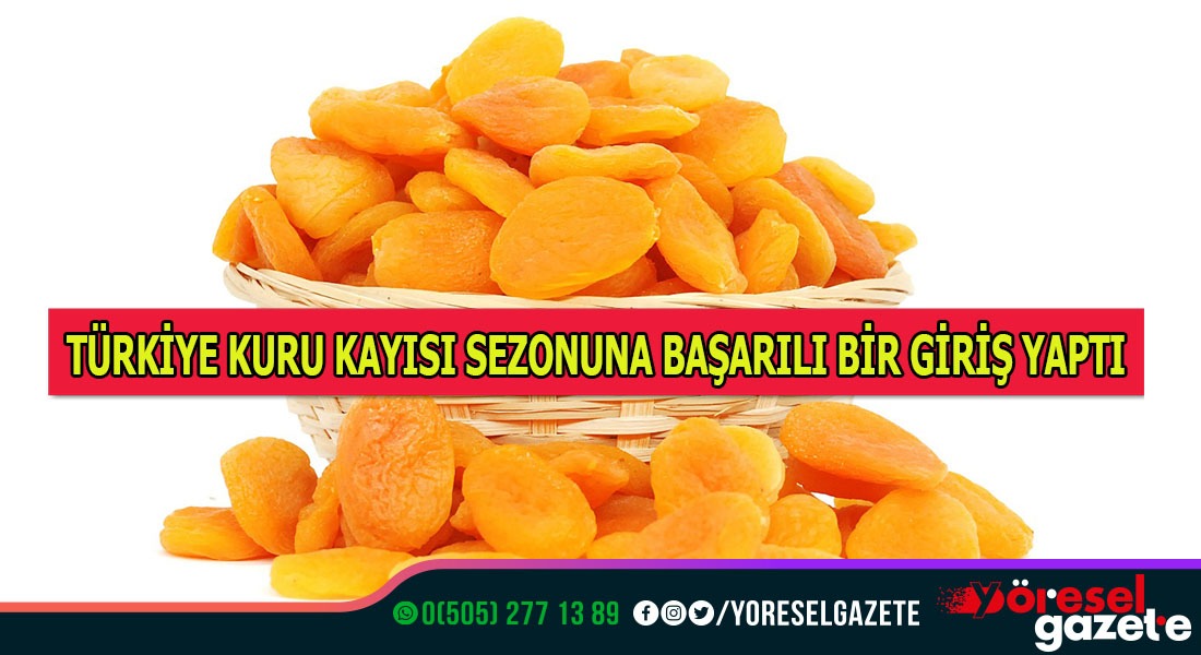 TÜRKİYE KURU KAYISI SEZONUNA BAŞARILI BİR GİRİŞ YAPTI