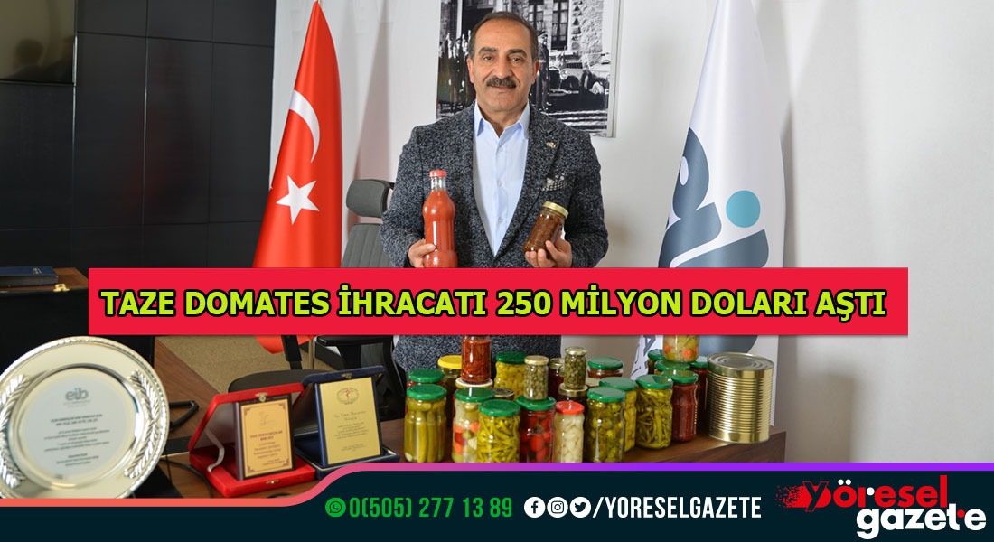 TAZE DOMATES İHRACATI 250 MİLYON DOLARI AŞTI
