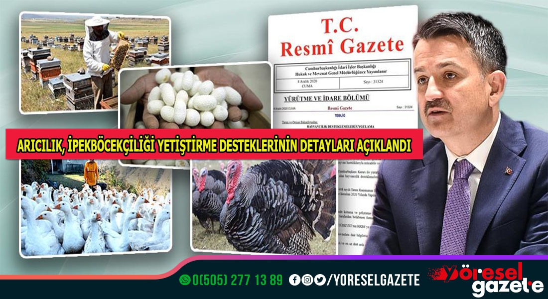 ARICILIK, İPEKBÖCEKÇİLİĞİ YETİŞTİRİCİLİĞİ DESTEKLERİ DETAYLARI AÇIKLANDI