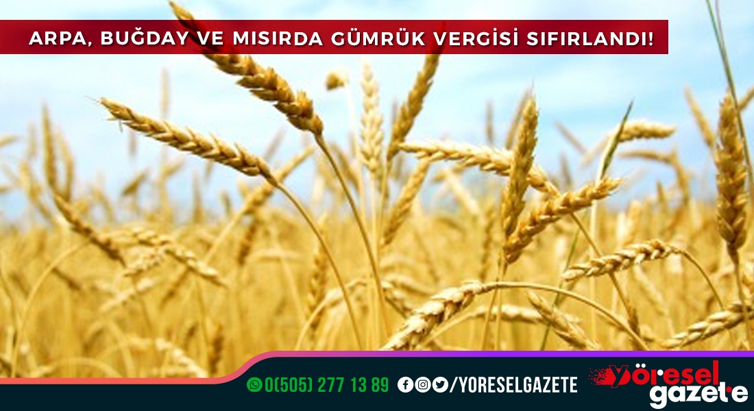 ARPA, BUĞDAY VE MISIRDA GÜMRÜK VERGİSİ SIFIRLANDI!