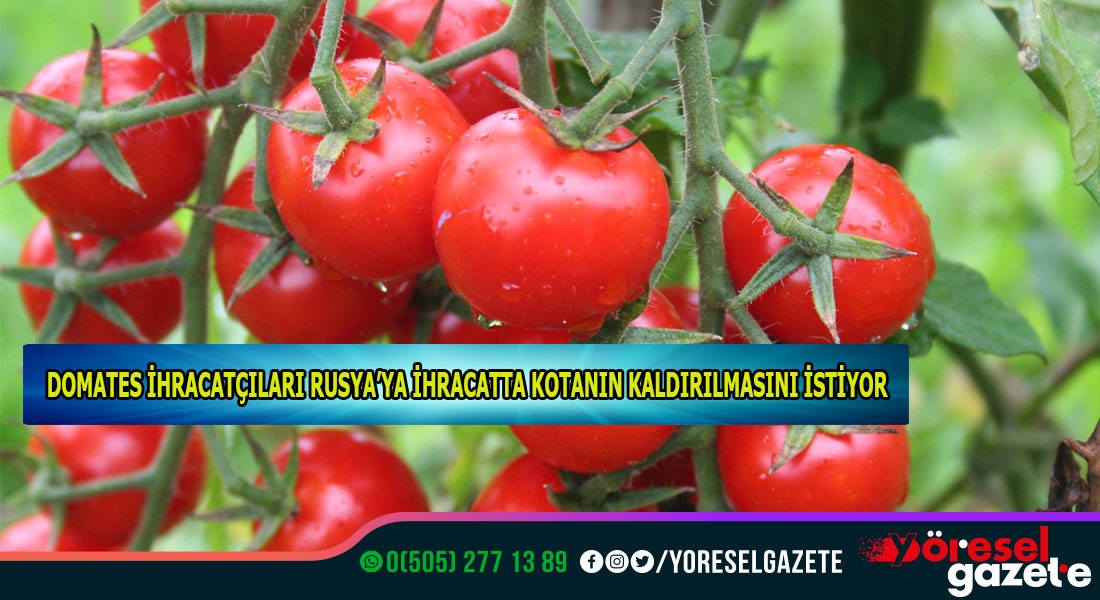 DOMATES İHRACATÇILARI RUSYA’YA İHRACATTA KOTANIN KALDIRILMASINI İSTİYOR