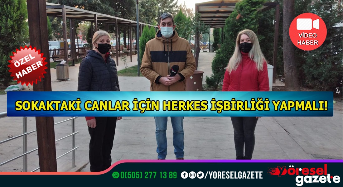 SOKAKTAKİ CANLAR İÇİN HERKES İŞBİRLİĞİ YAPMALI!