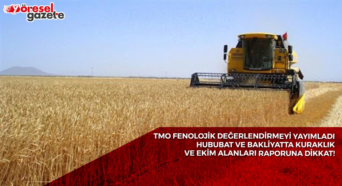 HUBUBAT VE BAKLİYATTA KURAKLIK VE EKİM ALANLARI RAPORUNA DİKKAT!
