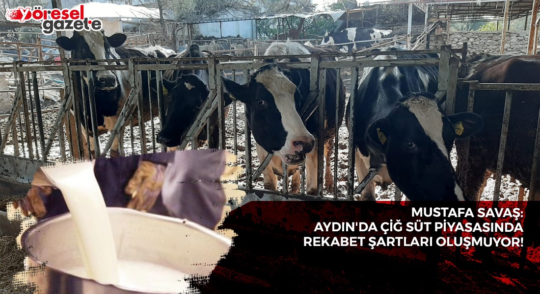 MUSTAFA SAVAŞ; AYDIN’NIN ÇİĞ SÜT PİYASASINDA REKABET ŞARTLARI OLUŞMUYOR!