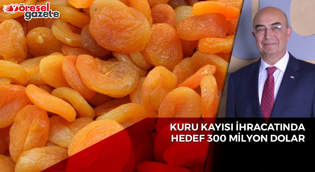 KURU KAYISI İHRACATINDA HEDEF 300 MİLYON DOLAR