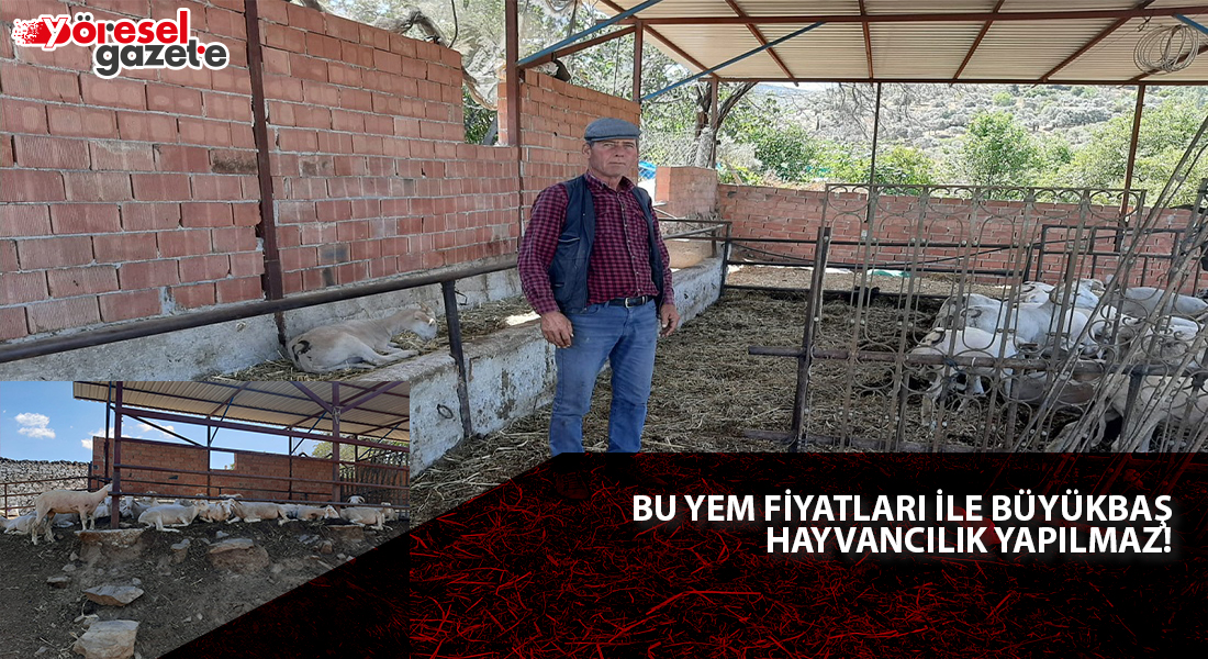 BU YEM FİYATLARI İLE BÜYÜKBAŞ HAYVANCILIK YAPILMAZ!