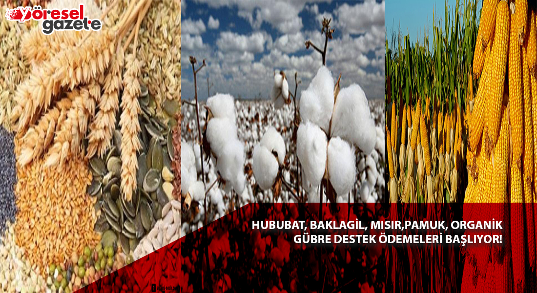 HUBUBAT, BAKLAGİL, PAMUK, ORGANİK GÜBRE DESTEK ÖDEMELERİ BAŞLIYOR!