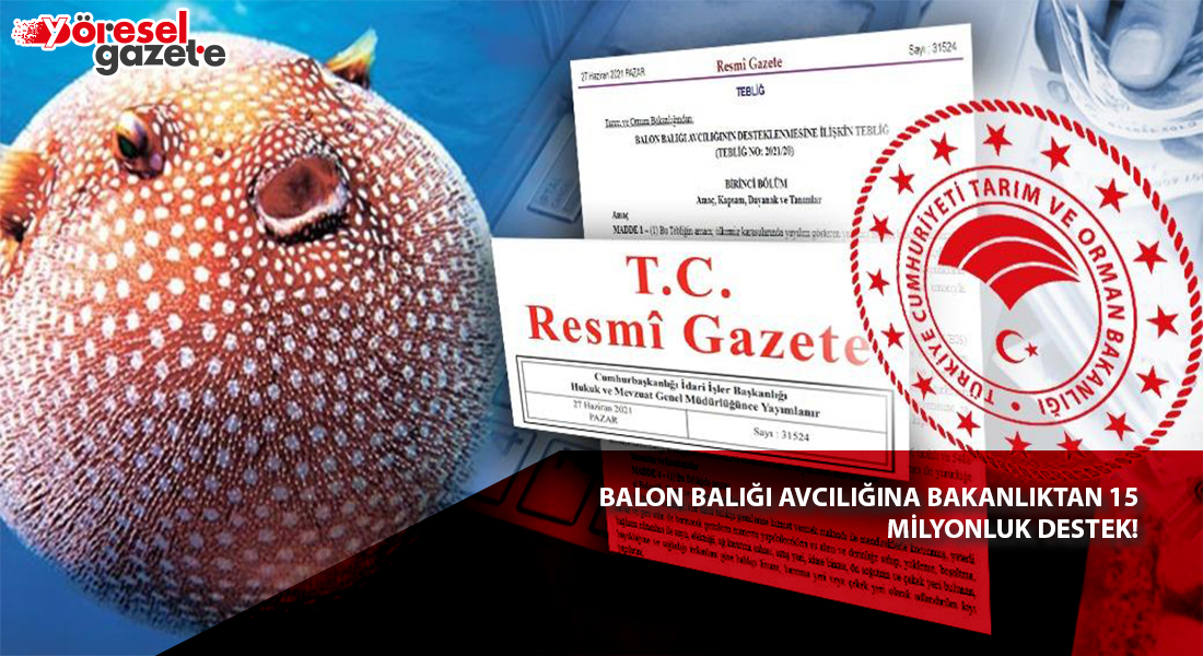 BALON BALIĞI AVCILIĞINA BAKANLIKTAN 15 MİLYONLUK DESTEK!