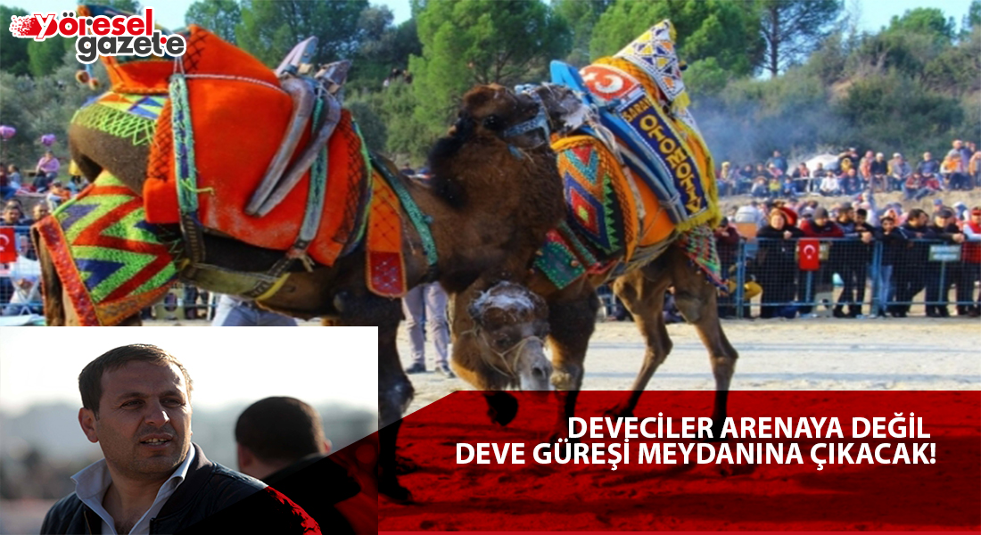 DEVECİLER ARENAYA DEĞİL DEVE GÜREŞİ MEYDANINA ÇIKACAK!