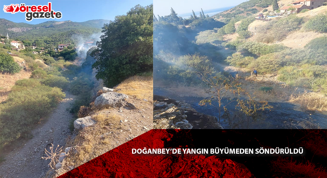 DOĞANBEY’DE YANGIN BÜYÜMEDEN SÖNDÜRÜLDÜ