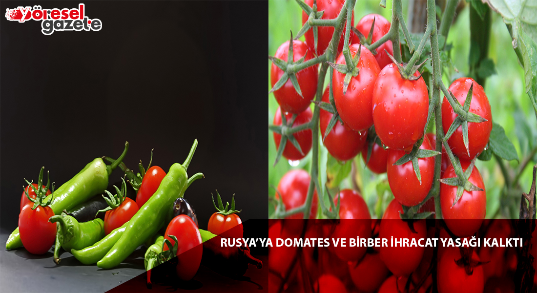 RUSYA’YA DOMATES VE BİRBER İHRACAT YASAĞI KALKTI