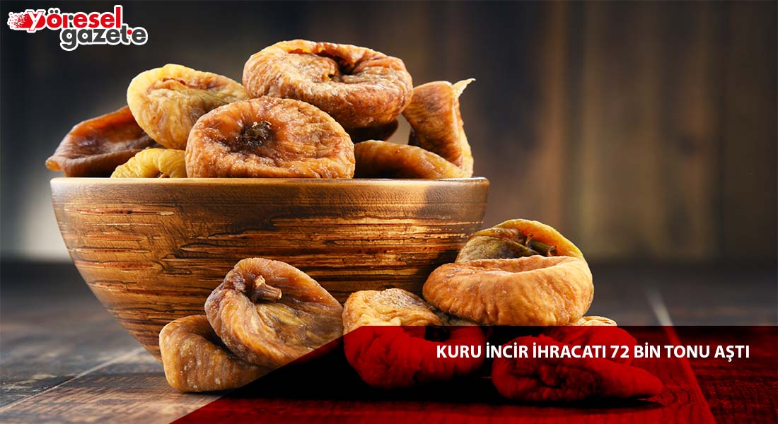 KURU İNCİR İHRACATI 72 BİN TONU AŞTI