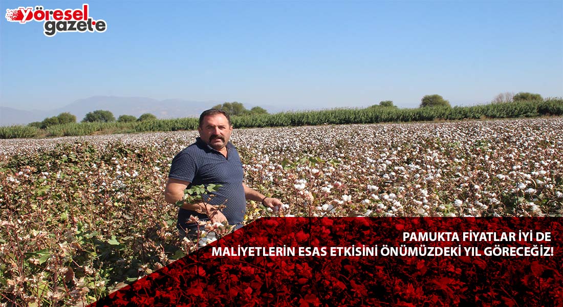 PAMUKTA FİYATLAR İYİ DE MALİYETLERİN ESAS ETKİSİNİ ÖNÜMÜZDEKİ YIL GÖRECEĞİZ!