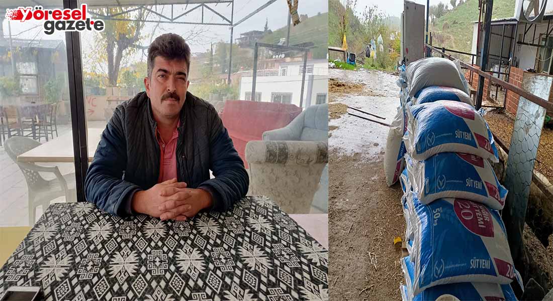 DAMIZLIK BİRLİĞİ BUZAĞI KÜPELEMEKTEN BAŞKA NE İŞ YAPAR?