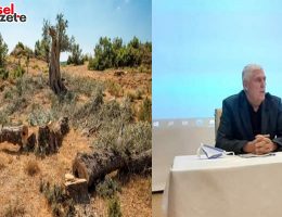 GERÇED’TEN BAKANLIĞIN ZEYTİN YÖNETMELİĞİNE TEPKİ VAR