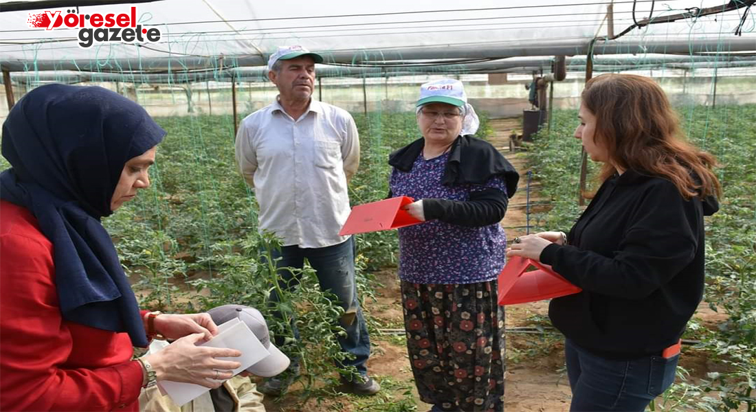 AYDIN’DA ÖRTÜ ALTI ÜRETİMİNE BİYOTEKNİK DESTEK