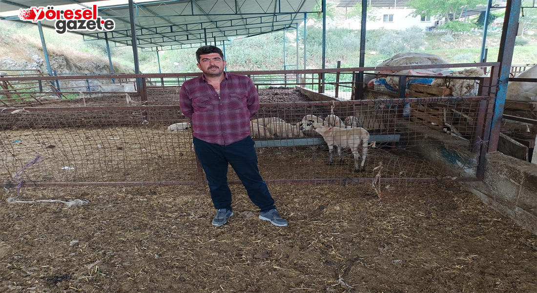 HAYVANCILIK SEKTÖRÜ KÜÇÜLEREK DEVAM ETMEYE ÇALIŞACAK!