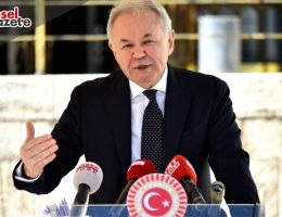 SEZGİN: İKTİDARDA OLSAYDIK BİZ DE BU TEZKEREYİ GETİRİRDİK