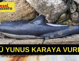 KUŞADASI’NDA ÖLÜ YUNUS KARAYA VURDU