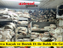 Tonlarca Kaçak ve Bozuk Et ile Balık Ele Geçirildi