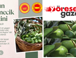 AYDIN MEMECİK ZEYTİNİ AB’de TESCİLLENDİ