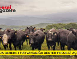 KIRSALDA BEREKET HAYVANCILIĞA DESTEK PROJESİ 1. ETAP SONUÇLARI AÇIKLANDI