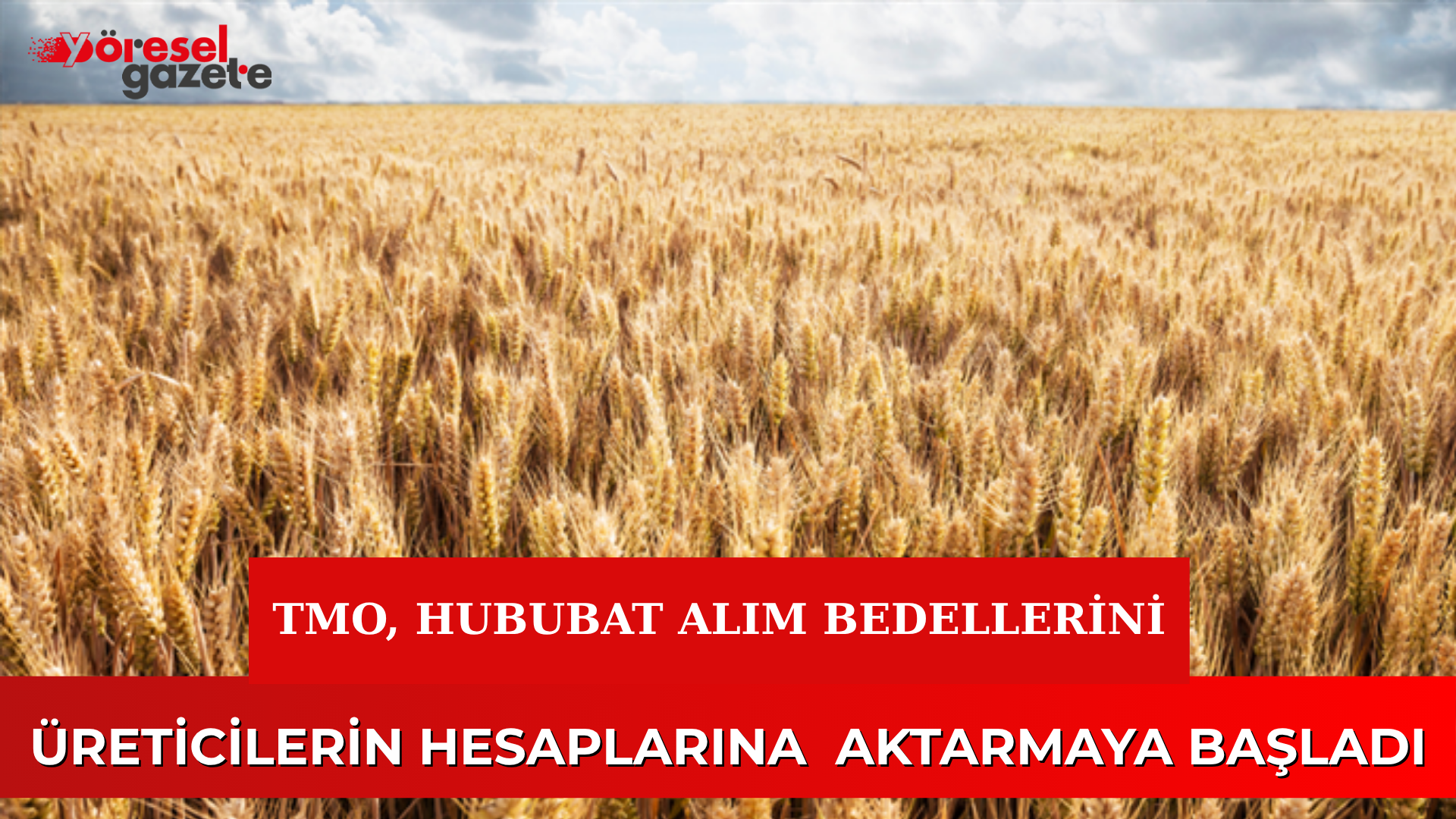 TMO, HUBUBAT ALIM BEDELLERİNİ ÜRETİCİLERİN HESAPLARINA AKTARMAYA BAŞLADI