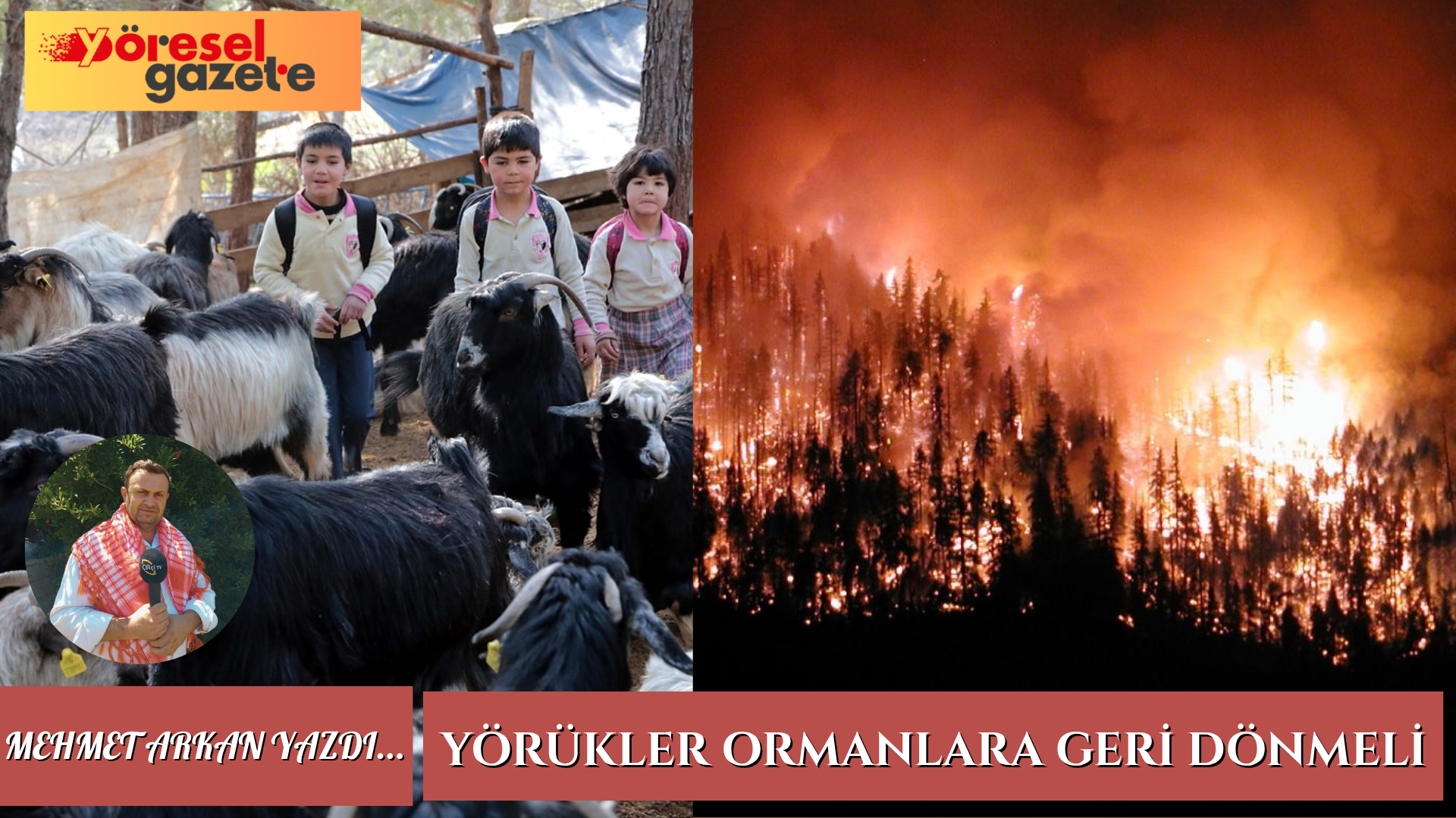 YÖRÜKLER ORMANLARA GERİ DÖNMELİ
