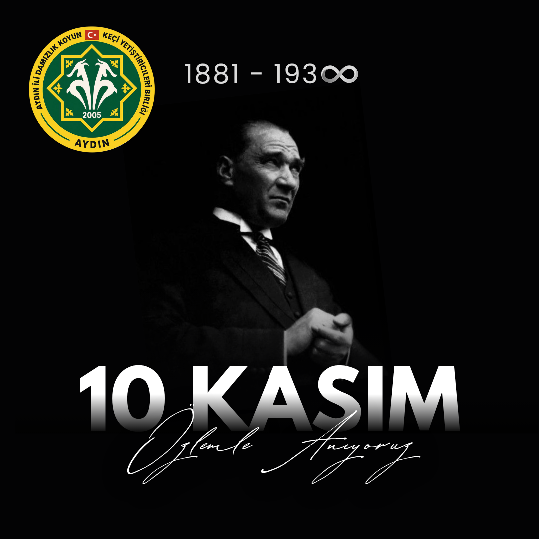 BAŞKAN DEMİR’DEN 10 KASIM MESAJI