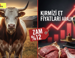 Et Fiyatlarında “Aralık” Hareketliliği: Dana Karkas Bir Ayda %12 Zamlandı!