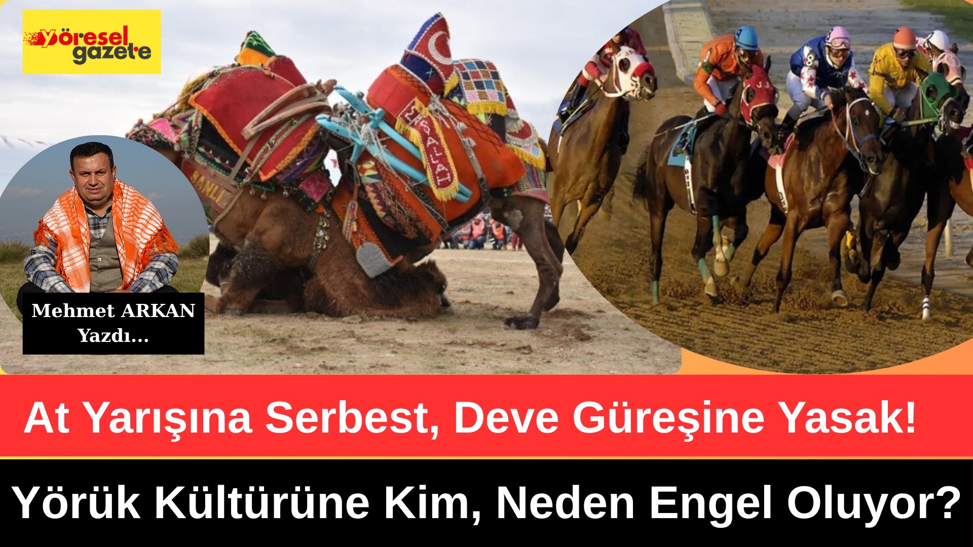 At Yarışına Serbest, Deve Güreşine Yasak! Yörük Kültürüne Kim, Neden Engel Oluyor?