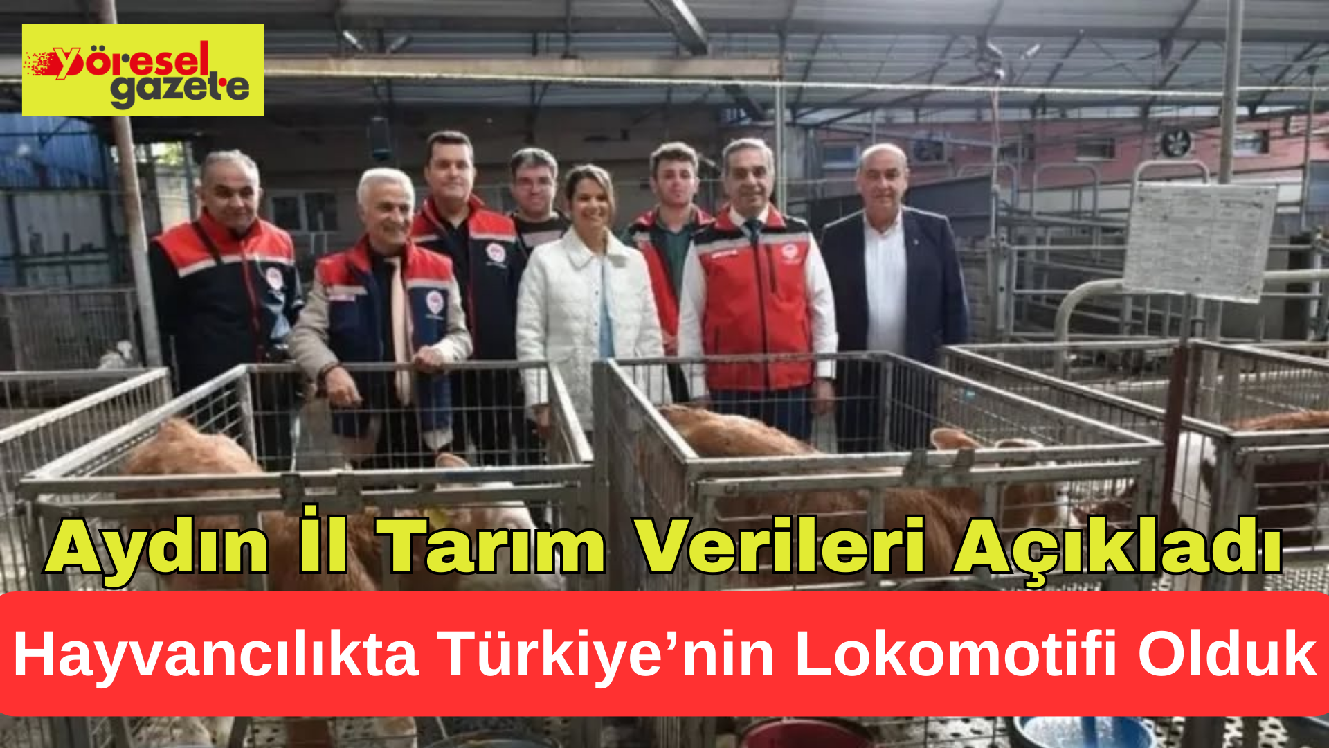 Aydın İl Tarım Verileri Açıkladı :Aydın Hayvancılıkta Türkiye’nin Lokomotifi Oldu!