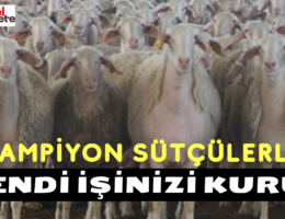 Şampiyon Sütçülerle Kendi İşinizi Kurun